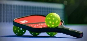 Pickleball Business Plan: How to Start and Run a Fun and Lucrative Pickleball Business